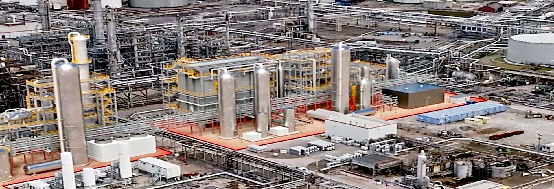 green-forest-background